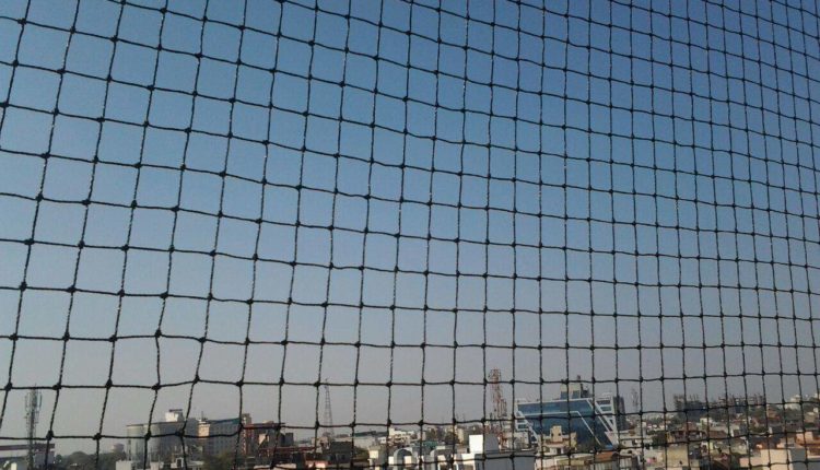 samridhi-bird-nets-johri-bazar-jaipur-anti-bird-net-dealers-3sc5vzh