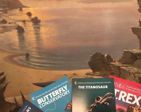 64396822_2524317457580344_2747092195264692224_n