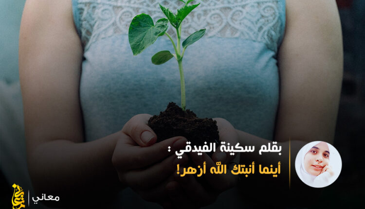 أينما أنبتك الله أزهر