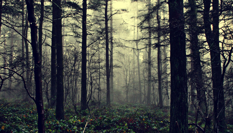 رسائل غريب - الرسالة الثالثة الخوف