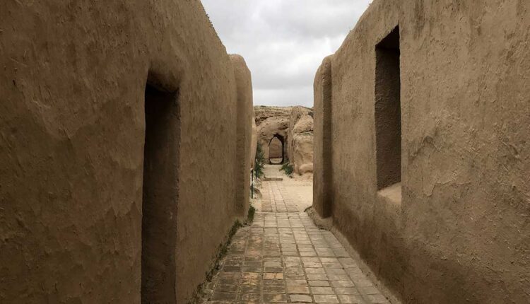 السرد القصصي وإشكالية العصبية - معاني