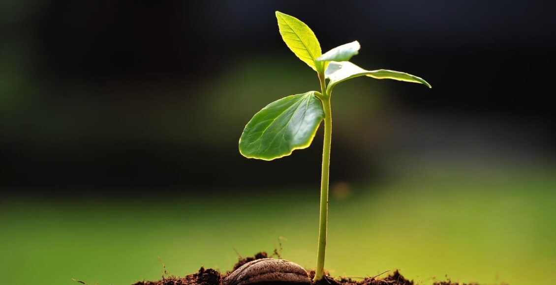 لا تكبر..إنه فخ!