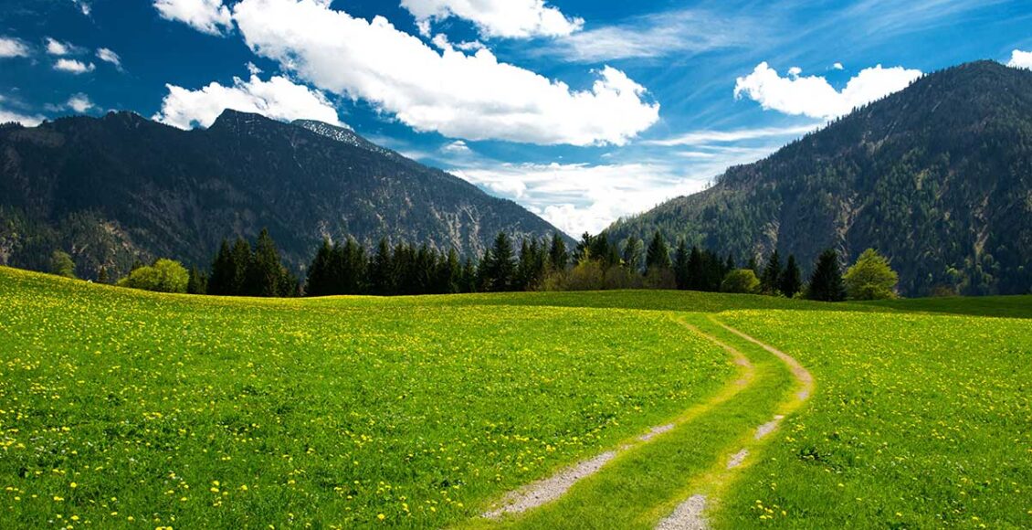 الرداء الأبيض الجزء 1 - معاني